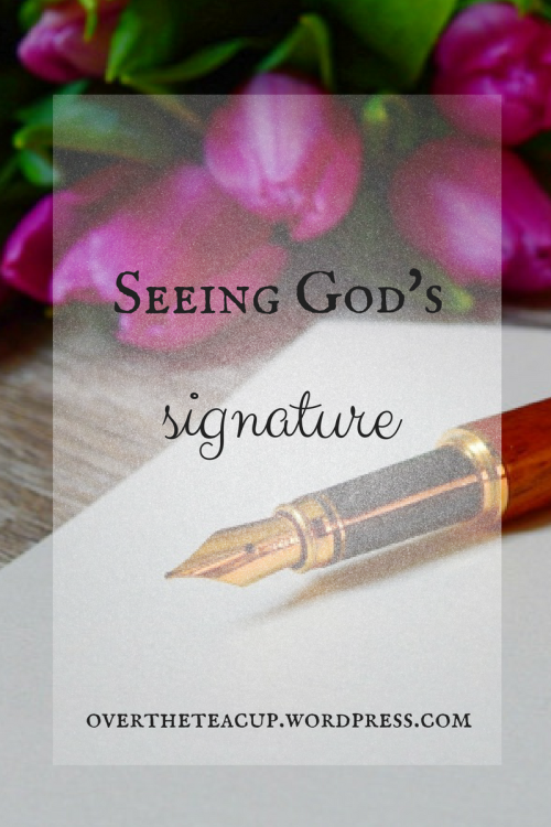Seeing God's signature